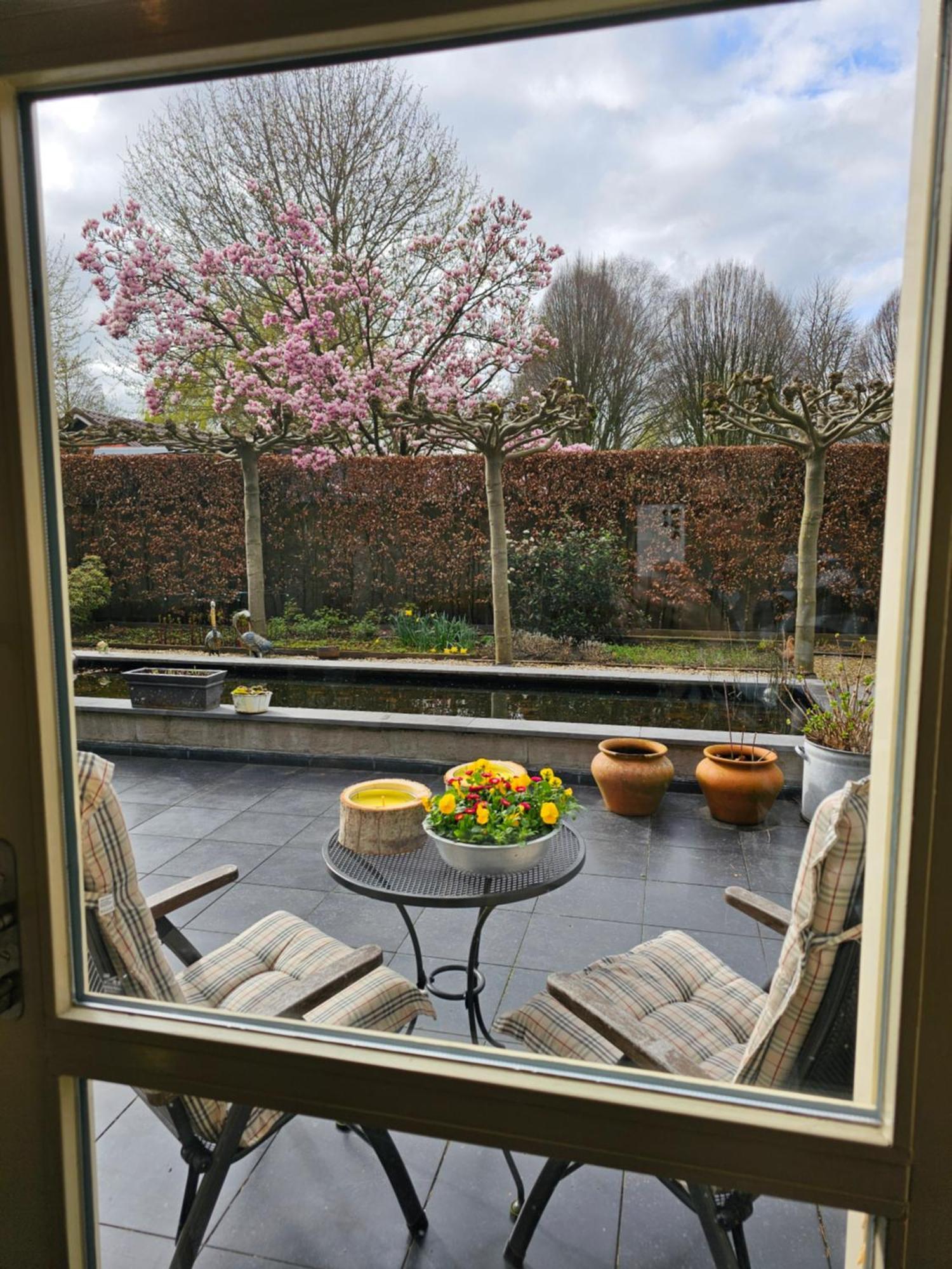 Guest Utrecht